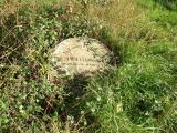 image of grave number 351407